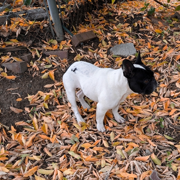 Hi, My name is Irelynd! 🤗 - Picture 12 of 12